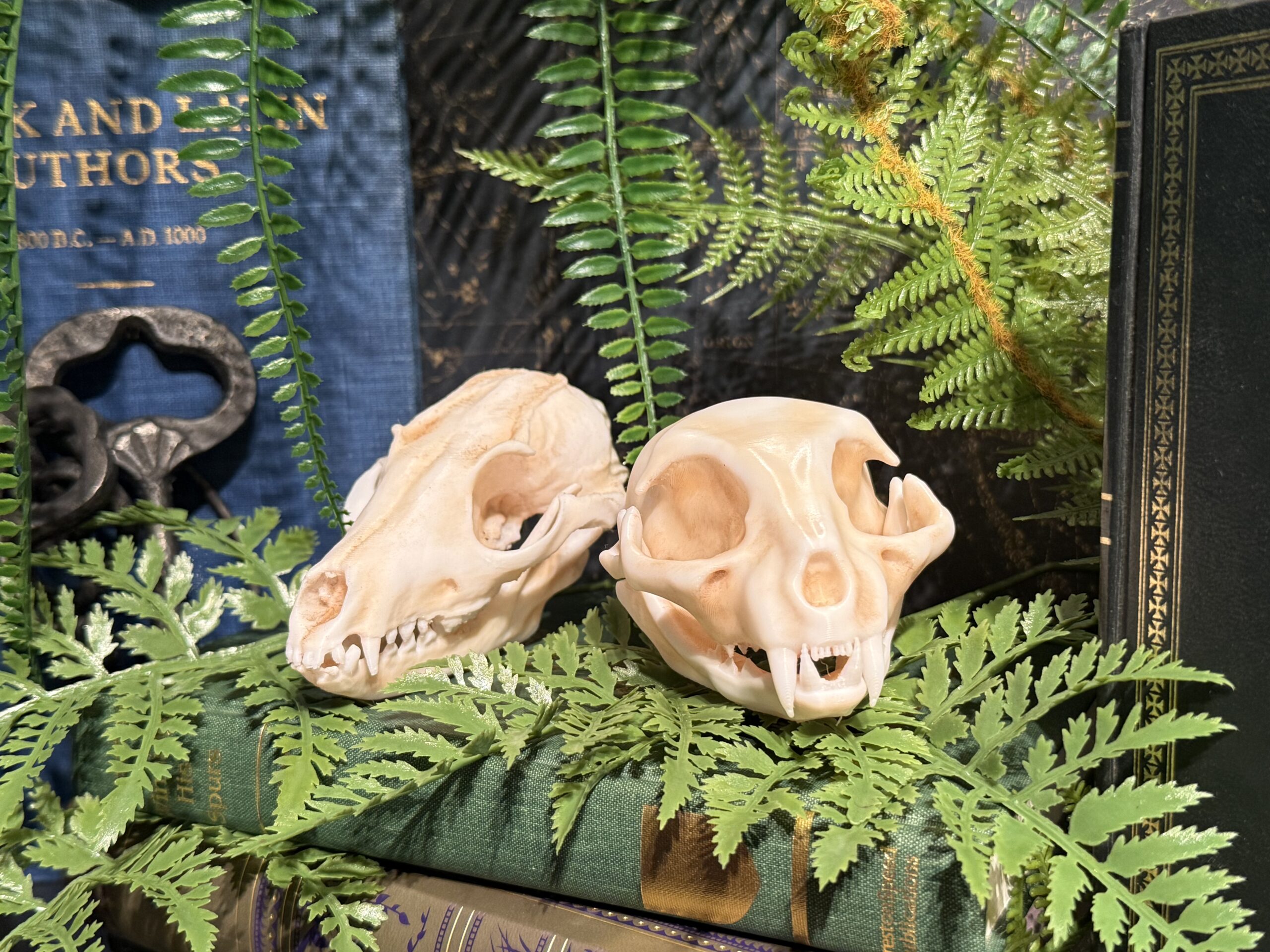 3D Prints